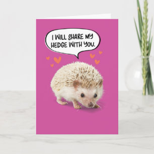 Carte Anniversaire drôle de Hérisson mignon