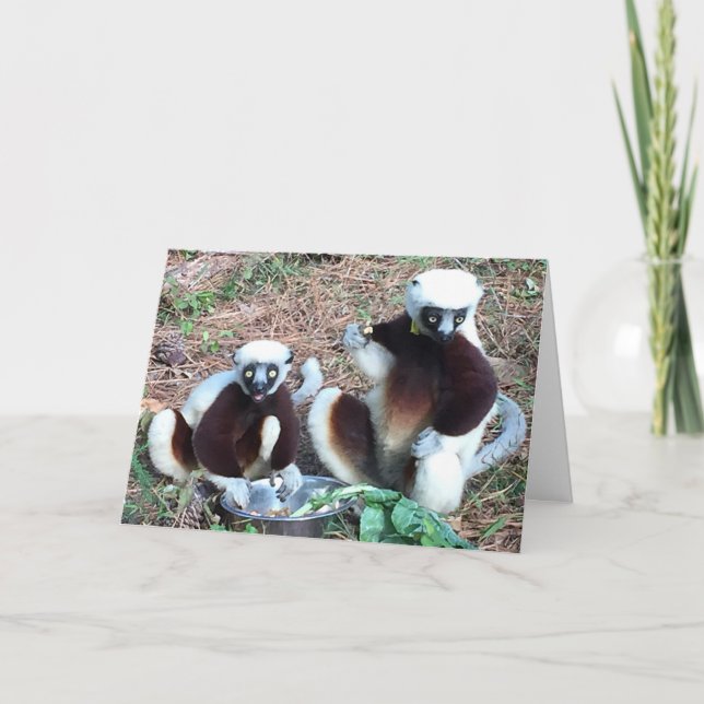 Carte Anniversaire drôle de Lemur (Devant)