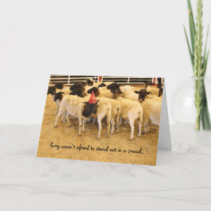 Carte Anniversaire drôle de mouton, "se démarquer dans u
