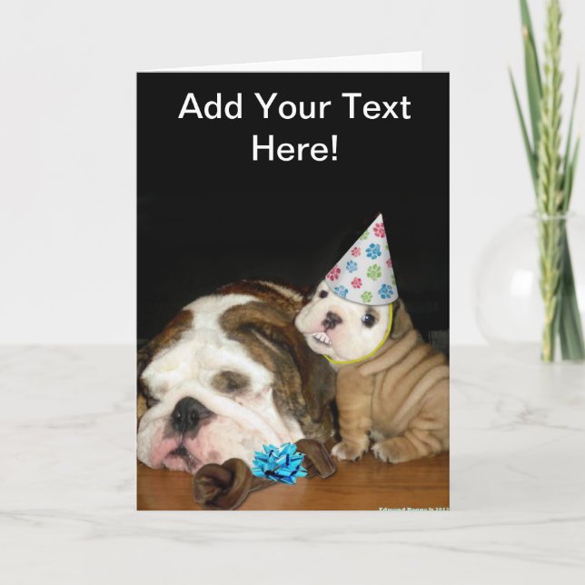 Carte Anniversaire du Bulldog anglais (Devant)