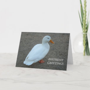 Carte Anniversaire du canard blanc