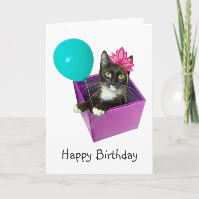 Carte Anniversaire du chat de Tuxedo (Devant)