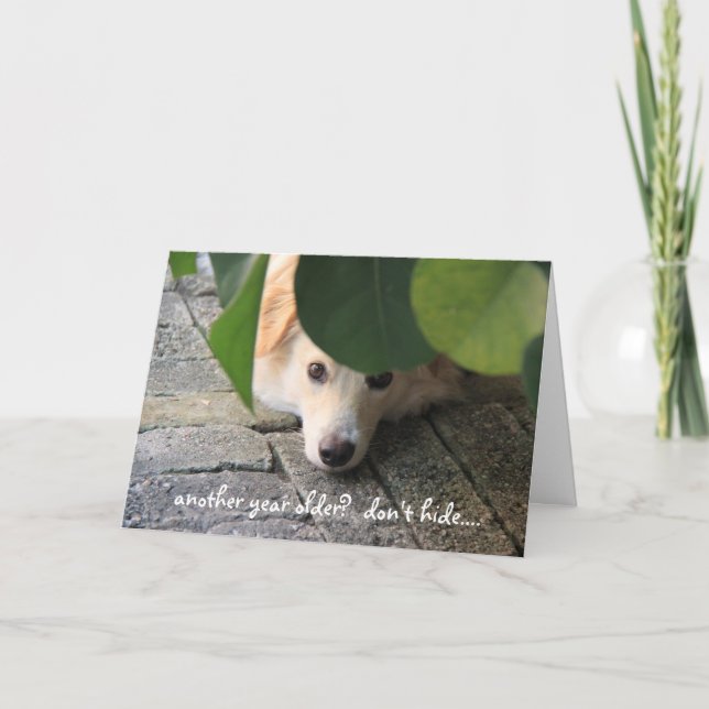 Carte Anniversaire du chien mignon, Au-dessus de la coll (Devant)