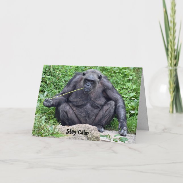 Carte Anniversaire du Chimpanzé (Devant)