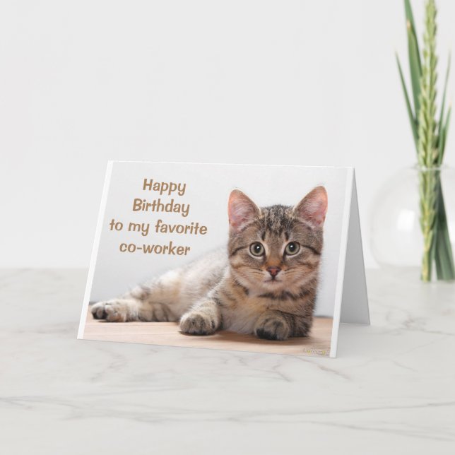 CARTE **ANNIVERSAIRE DU COTRAVAILLEUR AMOUREUX DES CHATS (Devant)