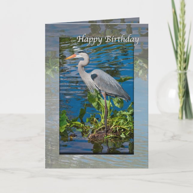 Carte Anniversaire du Grand Héron Bleu dans le lac (Devant)