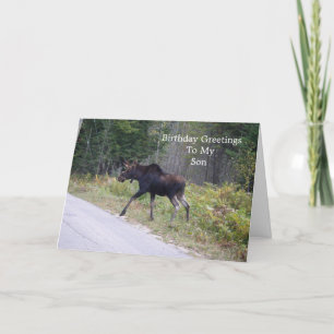 Carte Anniversaire du jeune orignal sur la route-son