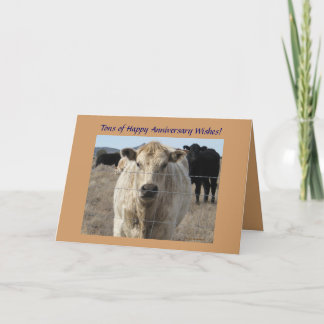 Carte Anniversaire du Mariage de l'Ouest Cattle Herd