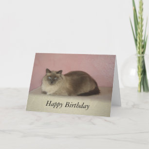 Carte Anniversaire du Meow du chat