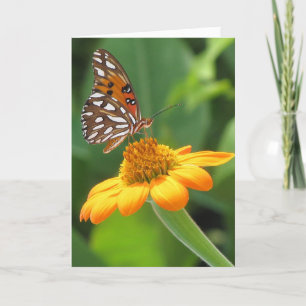 Carte Anniversaire du papillon