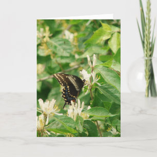 Carte Anniversaire du papillon