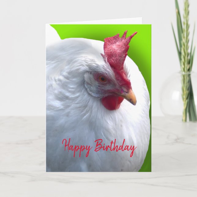 Carte Anniversaire du poulet blanc (Devant)