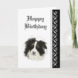 Carte Anniversaire Élégant, Bordure Collie Chien Animal