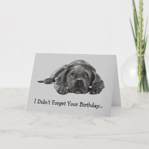 Carte Anniversaire en retard: N'A PAS OUBLIÉ : TROP FOU,