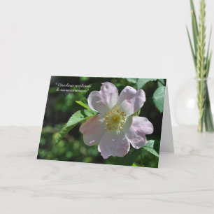 Carte anniversaire en tchèque