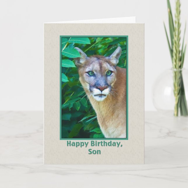 Carte Anniversaire, fils, puma dans la jungle (Devant)