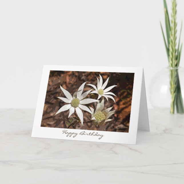 Carte Anniversaire - Fleurs Flannel (Devant)