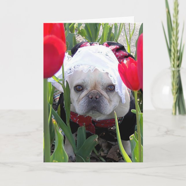 Carte Anniversaire Français Bulldog dans un jardin de tu (Devant)
