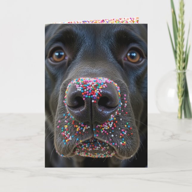 Carte Anniversaire Fun Black Lab Chien avec des arroses (Devant)