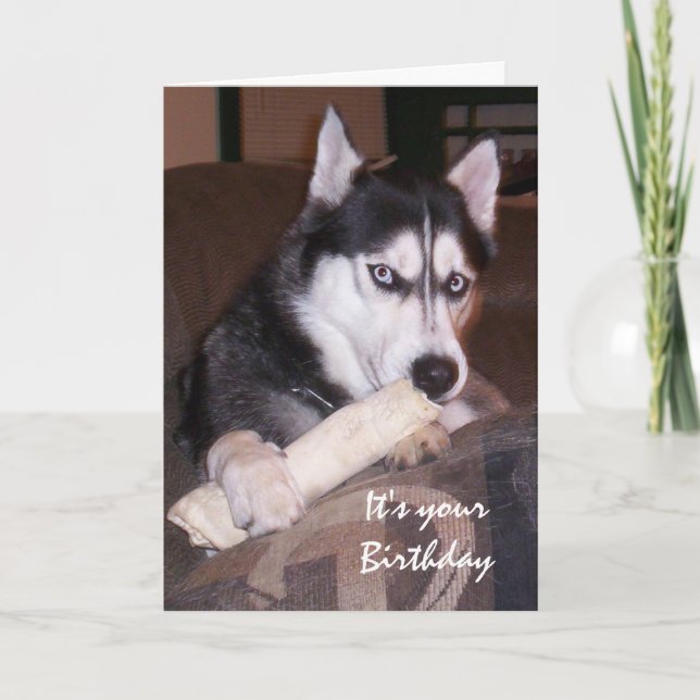 Carte Anniversaire Fun Husky Remplir la journée (Devant)