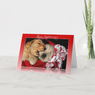 Carte Anniversaire Golden Retriever