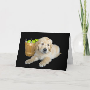 Carte Anniversaire Golden Retriever avec pommes