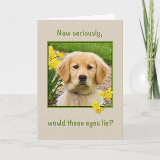 Carte Anniversaire, Golden Retriever Dog, Daffodique (Devant)