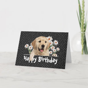 Carte Anniversaire Golden Retriever en Pois