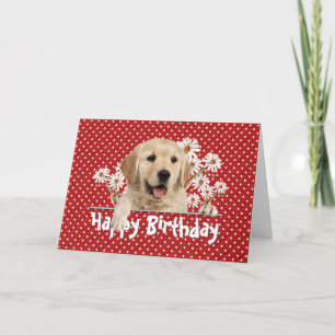 Carte Anniversaire Golden Retriever en Pois