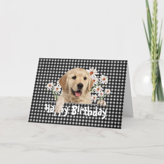 Carte Anniversaire Golden Retriever sur En vichy (Devant)