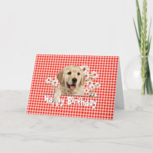 Carte Anniversaire Golden Retriever sur En vichy