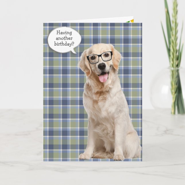 Carte Anniversaire Golden Retriever Sur Plaid (Devant)
