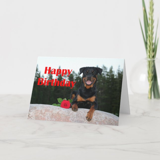 Carte anniversaire heureux de rottweiler (Devant)