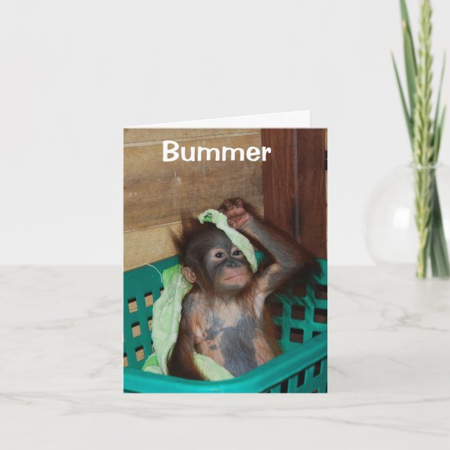 Carte Anniversaire heureux et tardif Je suis désolé (Devant)