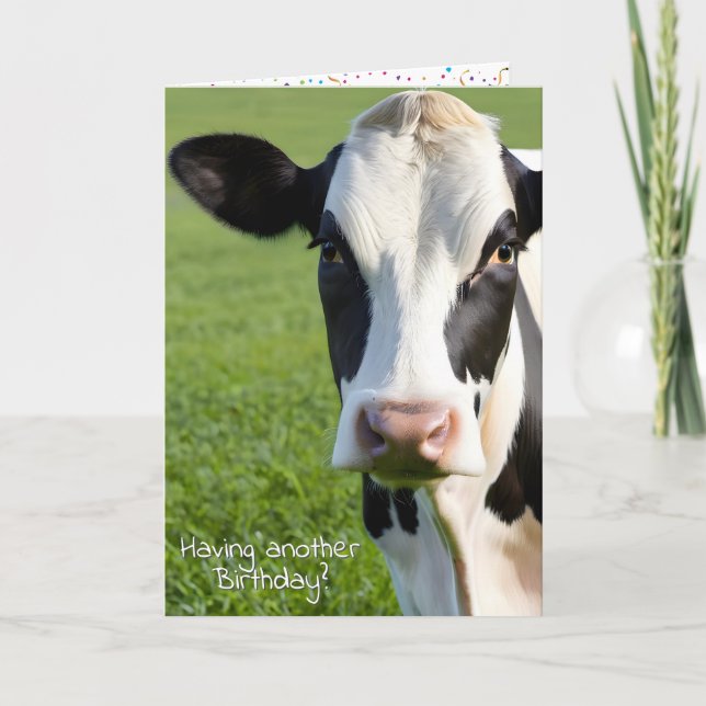 Carte Anniversaire Holstein Humour de vache (Devant)