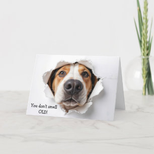 Carte Anniversaire Hound Dog Visage dans le trou de papi
