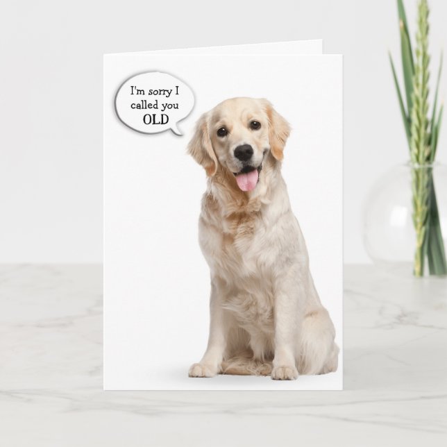 Carte Anniversaire humoristique Golden Retriever (Devant)