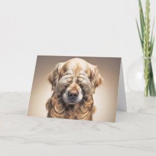 Carte Anniversaire Humoristique Golden Retriever