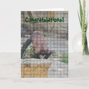 Carte Anniversaire humoristique, "Mauvais singe"