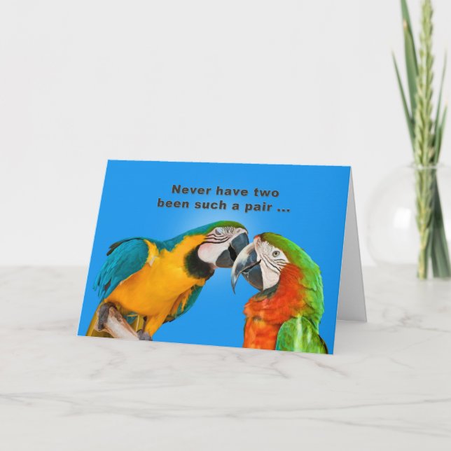 Carte Anniversaire, Humour, Perroquets en amour (Devant)