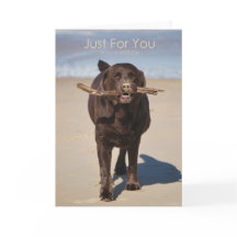 Anniversaire - Juste Pour Vous