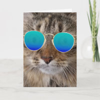 Anniversaire Maine Chat Coon En Lunettes De Soleil