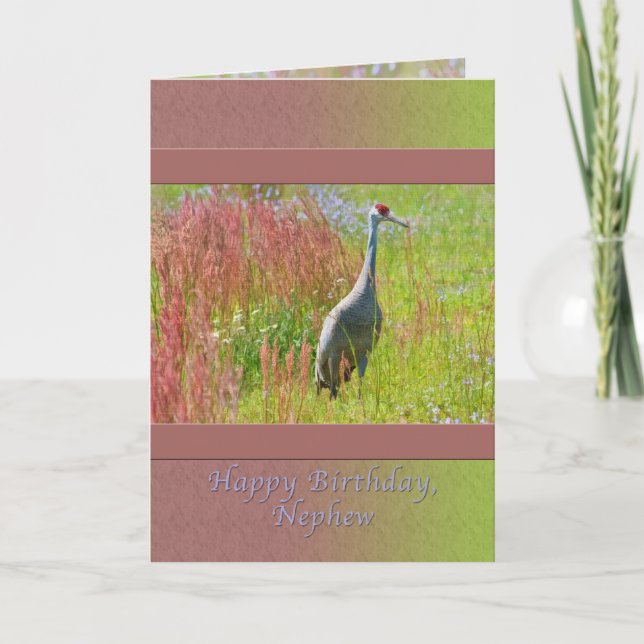 Carte Anniversaire, Nephew, Grue de Sandhill (Devant)