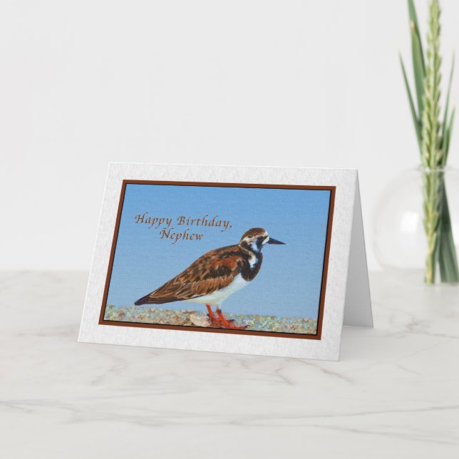 Carte Anniversaire, Nephew, Ruddy Turnstone Bird (Devant)