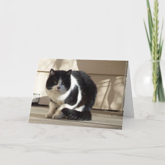 Carte Anniversaire, Noir N Chat Blanc (Devant)
