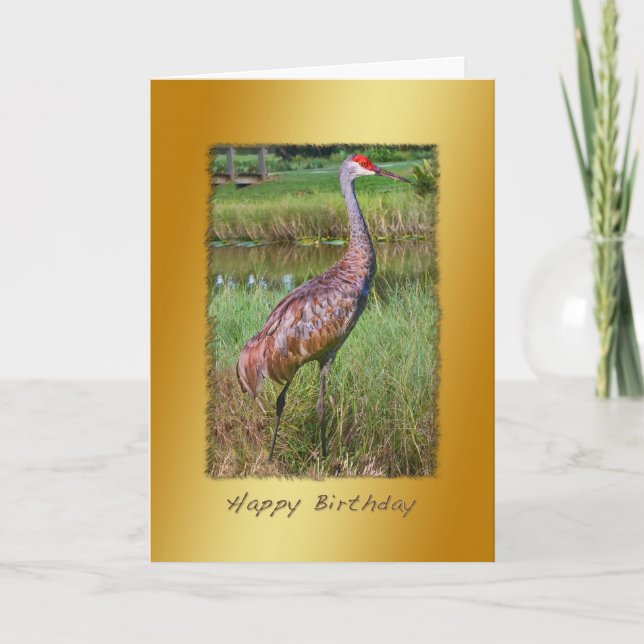 Carte Anniversaire, oiseau de grue de Sandhill (Devant)