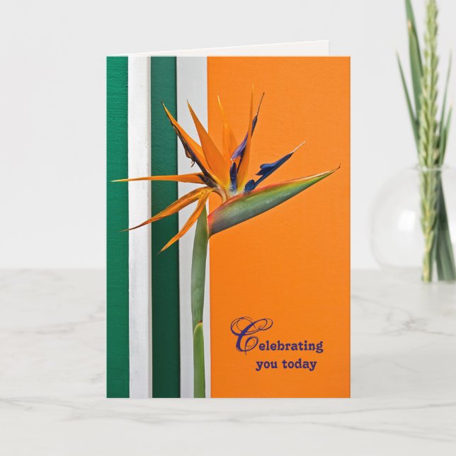 Carte anniversaire Oiseau du Paradis (Devant)