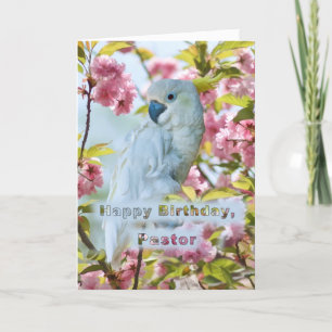 Carte Anniversaire, pasteur, perroquet blanc dans