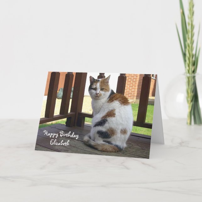 Carte Anniversaire personnalisé du chat Calico (Devant)