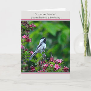 Carte Anniversaire : personnaliser